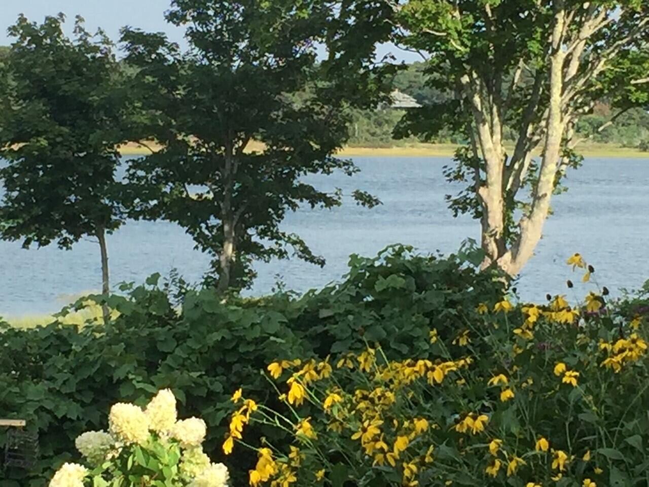 115 Commercial Street, Unit B Wellfleet, MA 02667 - Photo 35 of 37 a view of a garden with plants