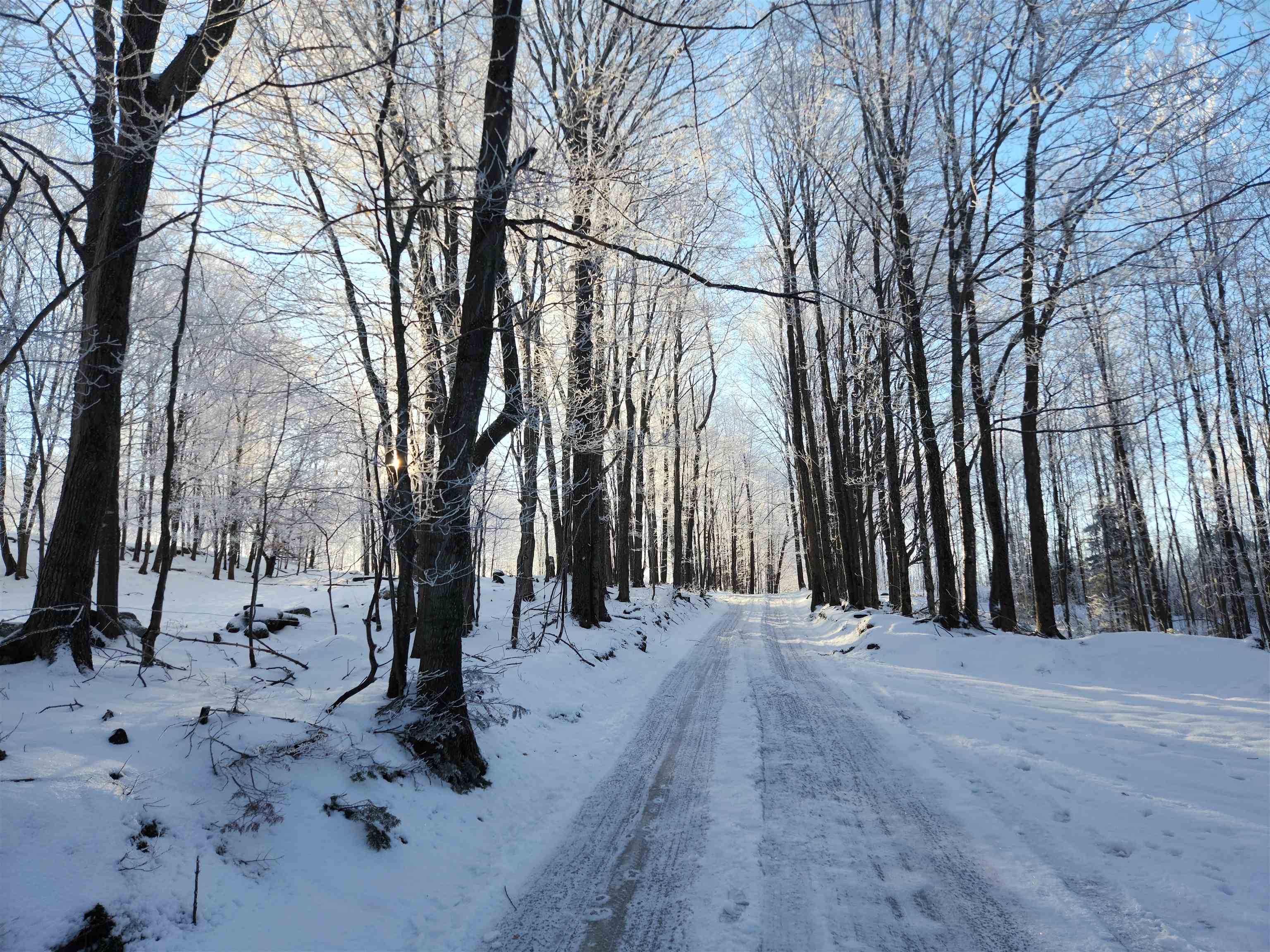 330 Bayley Hazen Road Cabot, VT 05647 - Photo 31 of 40