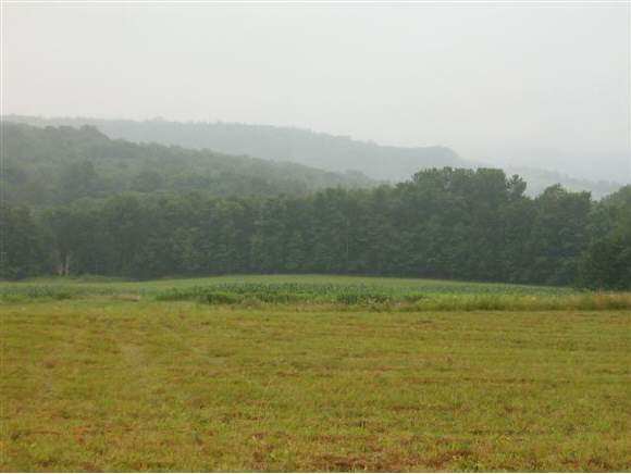 0 Henton Road Barton, NY 13734 - Photo 1 of 9 Gallery Image 1