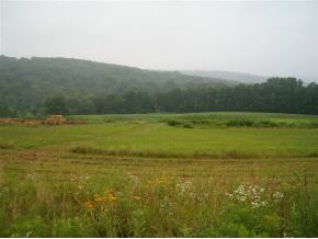 0 Henton Road Barton, NY 13734 - Photo 2 of 9 Gallery Image 2