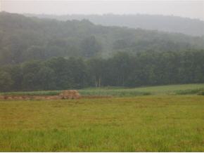 0 Henton Road Barton, NY 13734 - Photo 5 of 9 Gallery Image 5