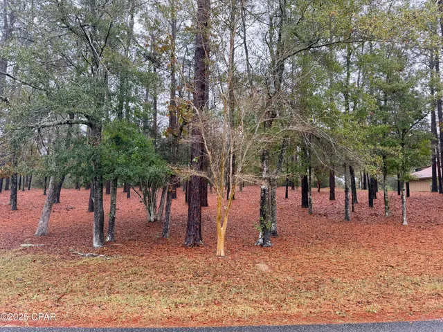 $299,000 | 3048 Joyce Drive, Marianna, FL 32446