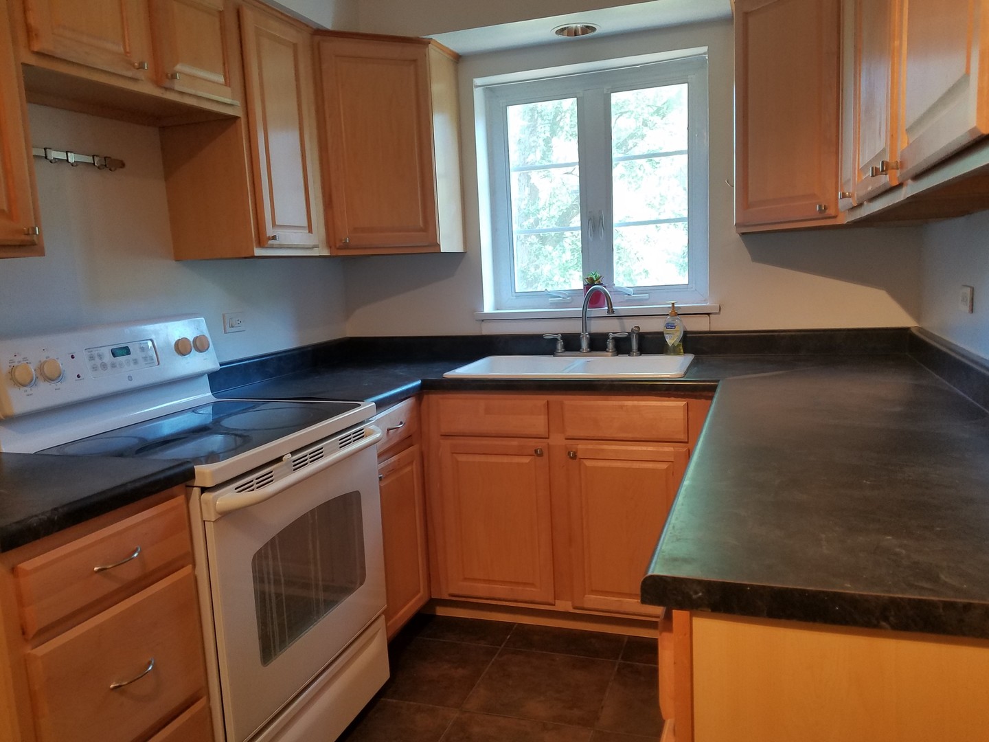 342 Ridge Avenue, Unit 1 Evanston, IL 60202 - Photo 5 of 13