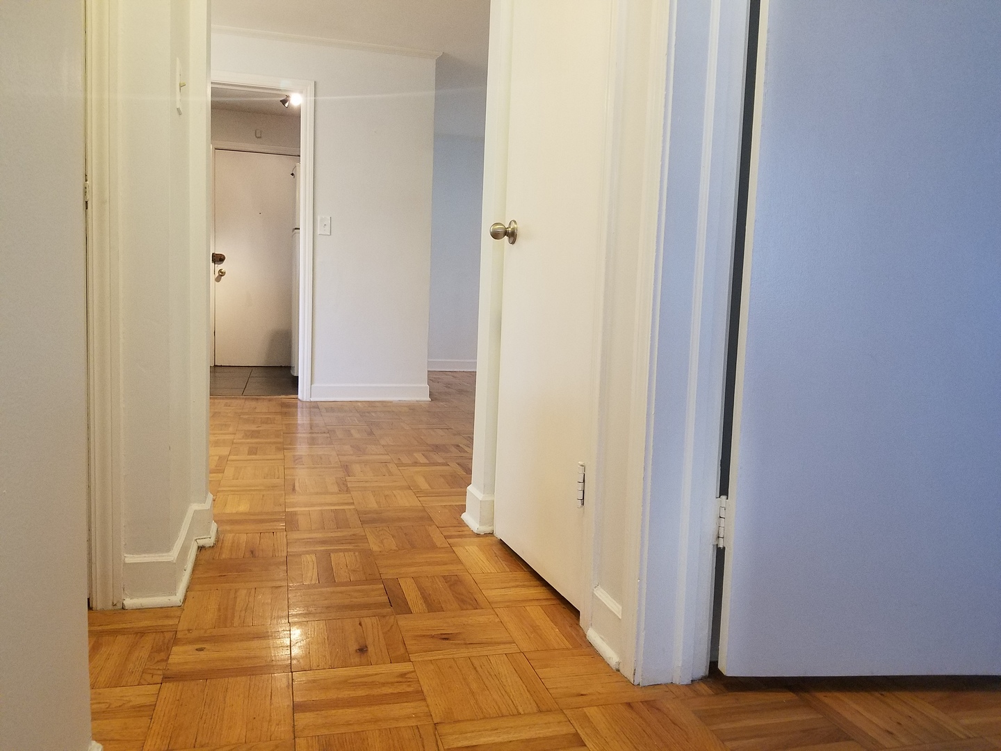 342 Ridge Avenue, Unit 1 Evanston, IL 60202 - Photo 7 of 13