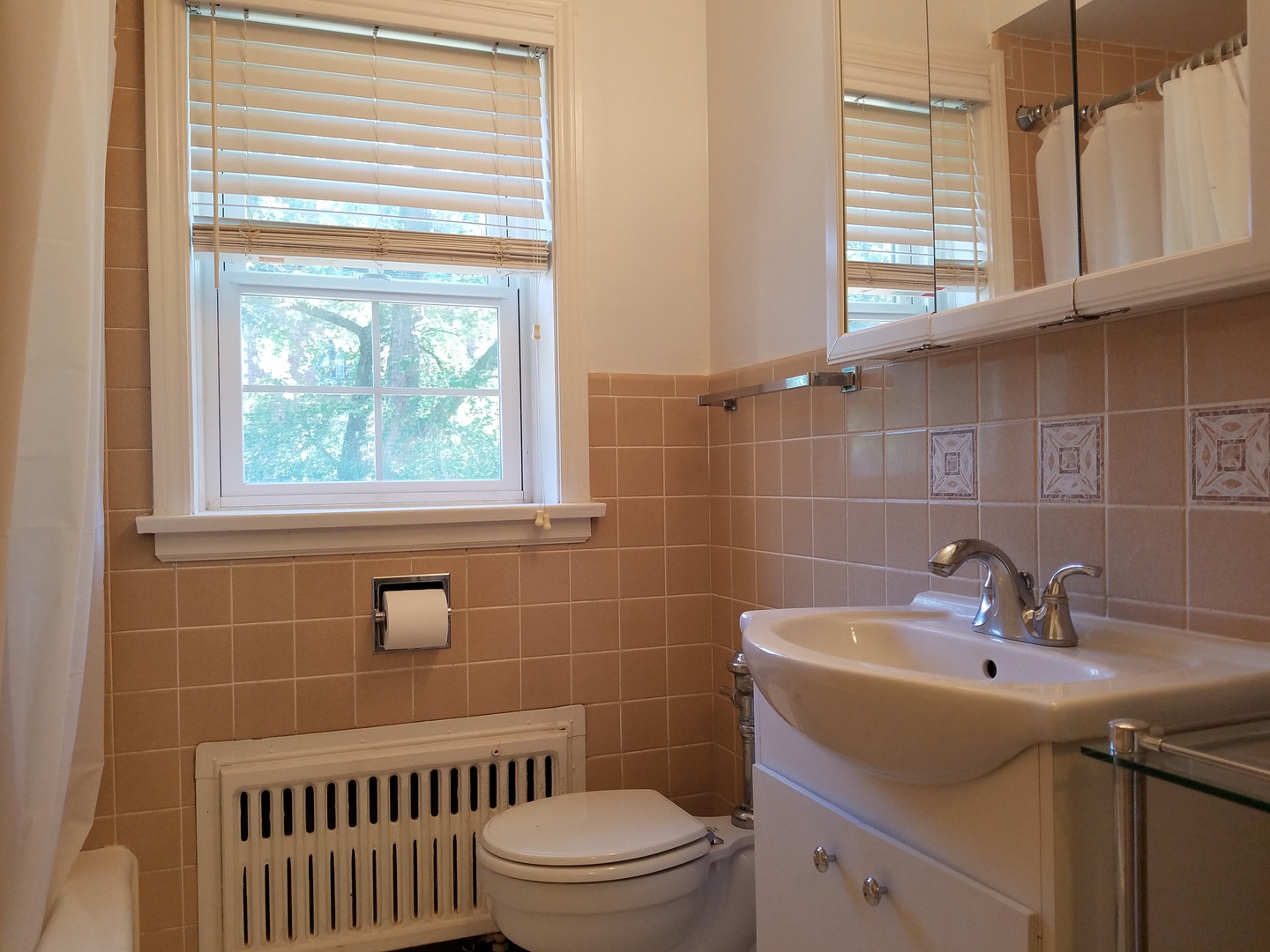 342 Ridge Avenue, Unit 1 Evanston, IL 60202 - Photo 8 of 13