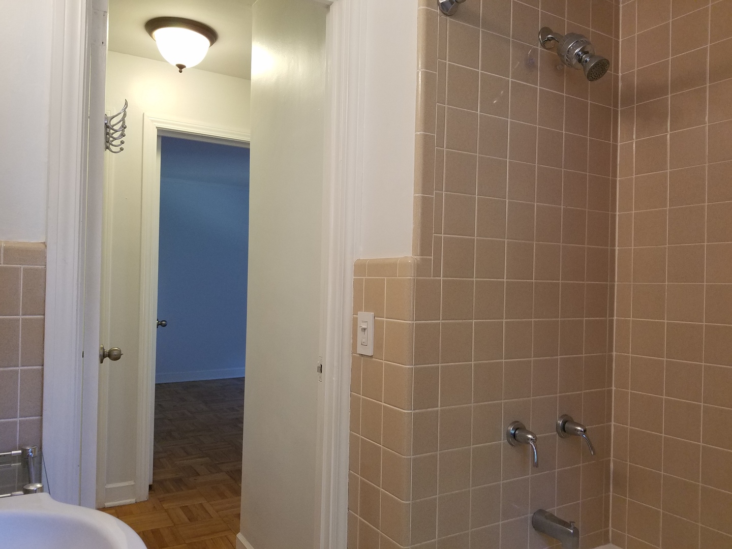 342 Ridge Avenue, Unit 1 Evanston, IL 60202 - Photo 9 of 13