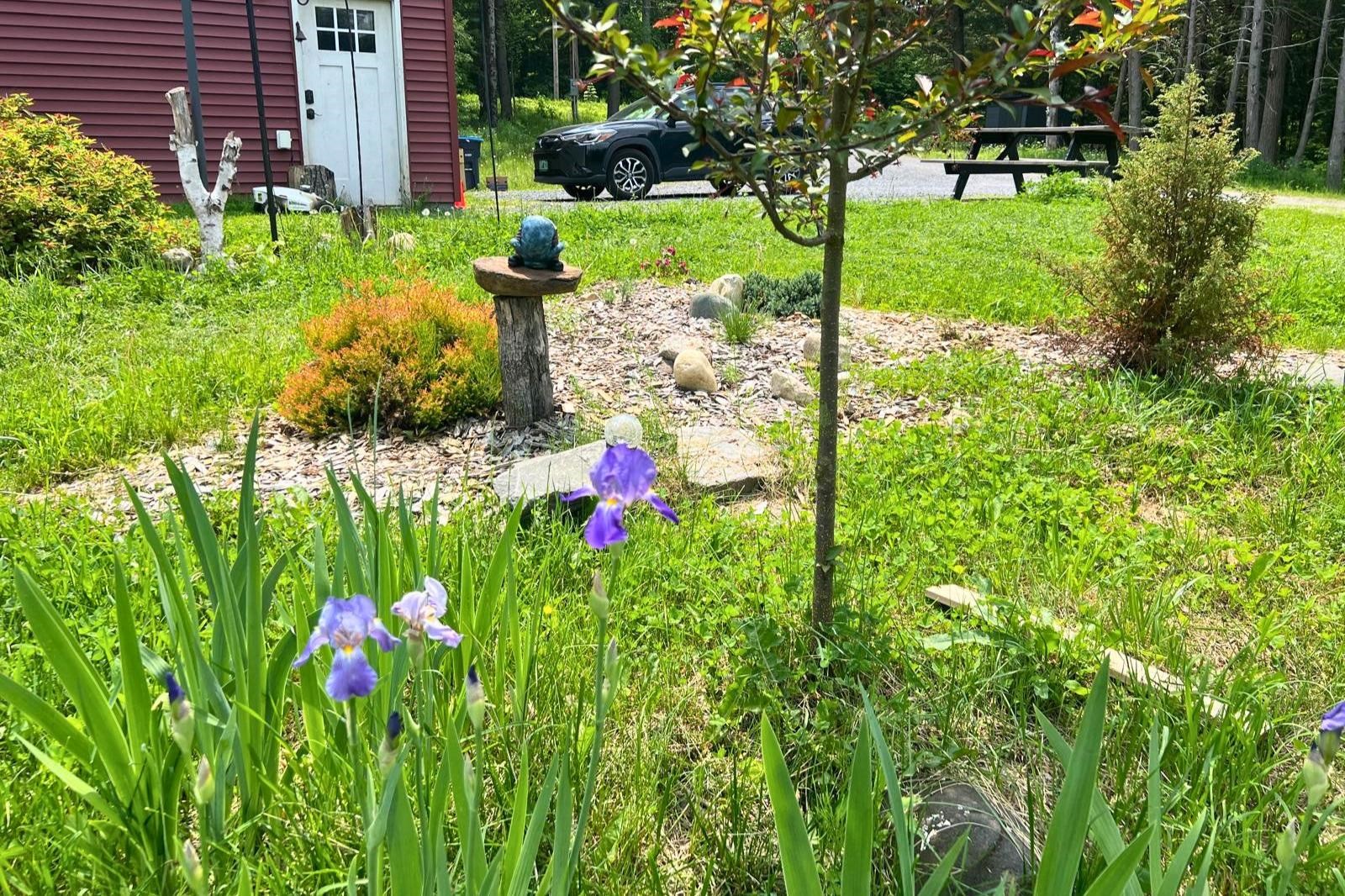 280 Lower Road Plainfield, VT 05667 - Photo 53 of 60