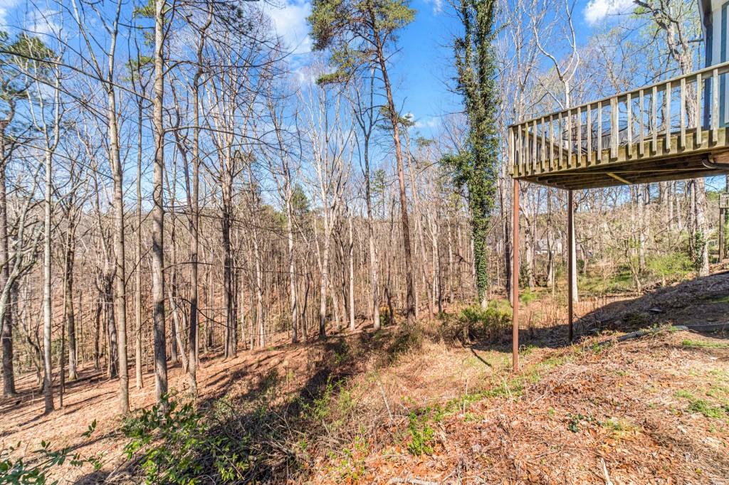 5550 Little Mill Road Buford, GA 30518 - Photo 46 of 53