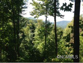 Lot 224 Flying Dutchman Road, Unit 224 Sylva, NC 28779 - Photo 1 of 21 Gallery Image 1
