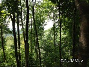 Lot 224 Flying Dutchman Road, Unit 224 Sylva, NC 28779 - Photo 2 of 21 Gallery Image 2