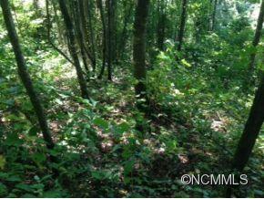 Lot 224 Flying Dutchman Road, Unit 224 Sylva, NC 28779 - Photo 3 of 21 Gallery Image 3