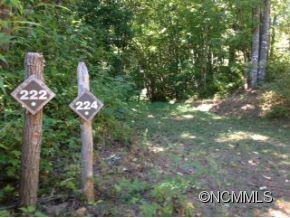 Lot 224 Flying Dutchman Road, Unit 224 Sylva, NC 28779 - Photo 4 of 21 Gallery Image 4
