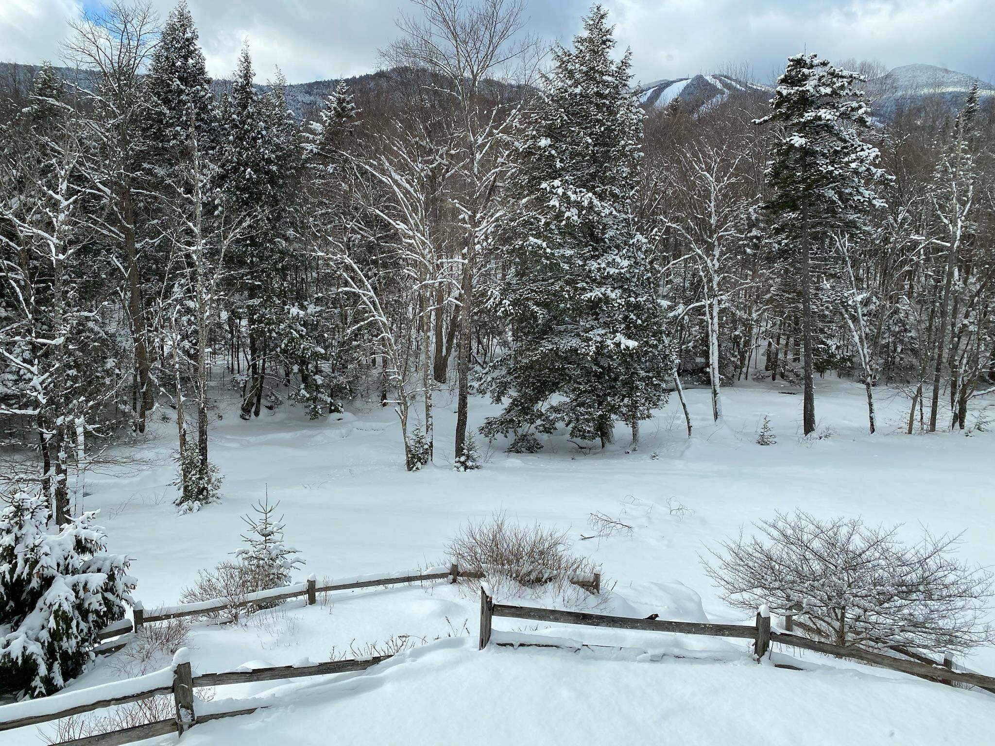 111 West Branch Road, Unit 4 Waterville Valley, NH 03215 - Photo 56 of 58