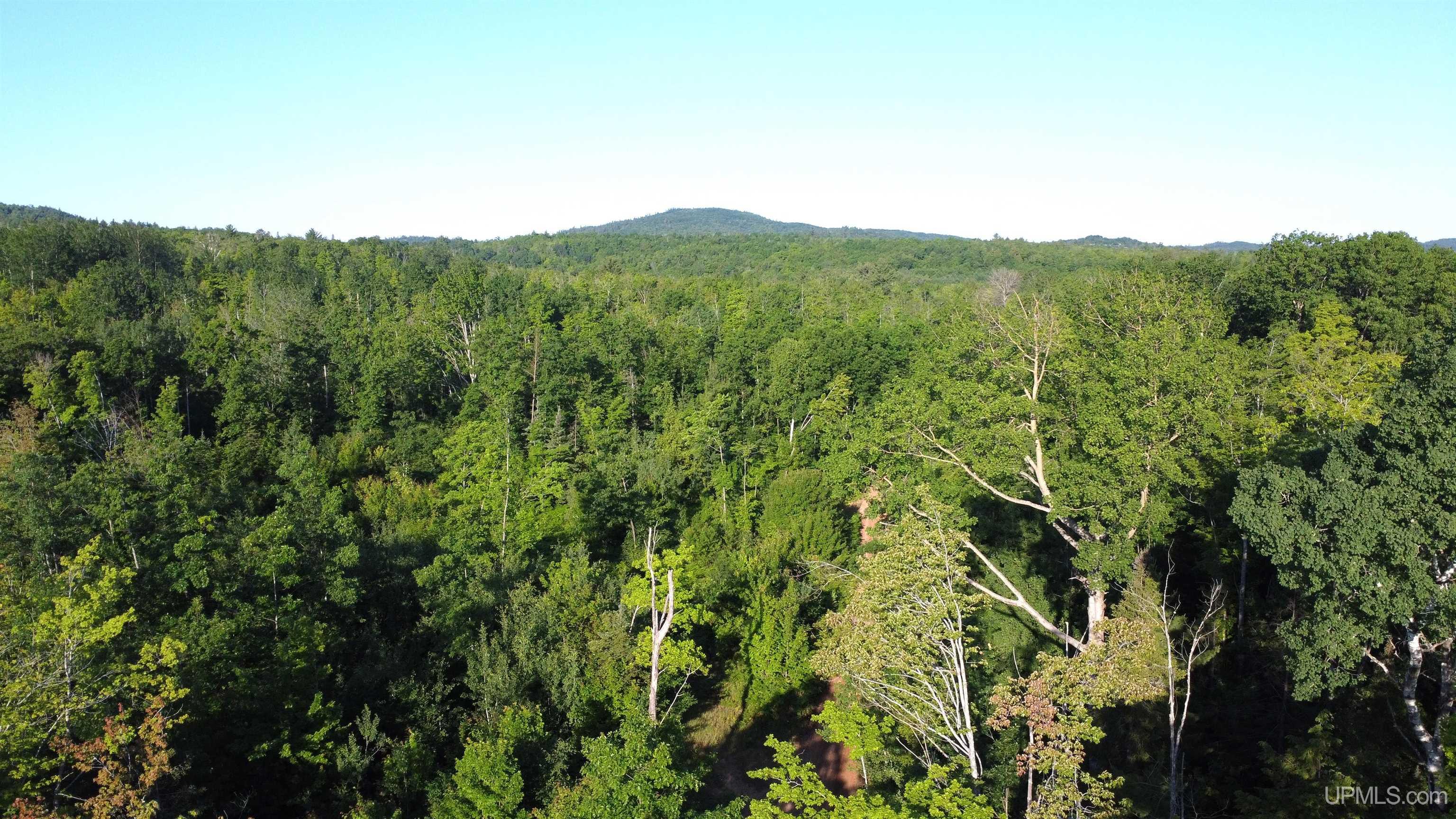 Off Brown Deer Road Marquette, MI 49855 - Photo 11 of 13