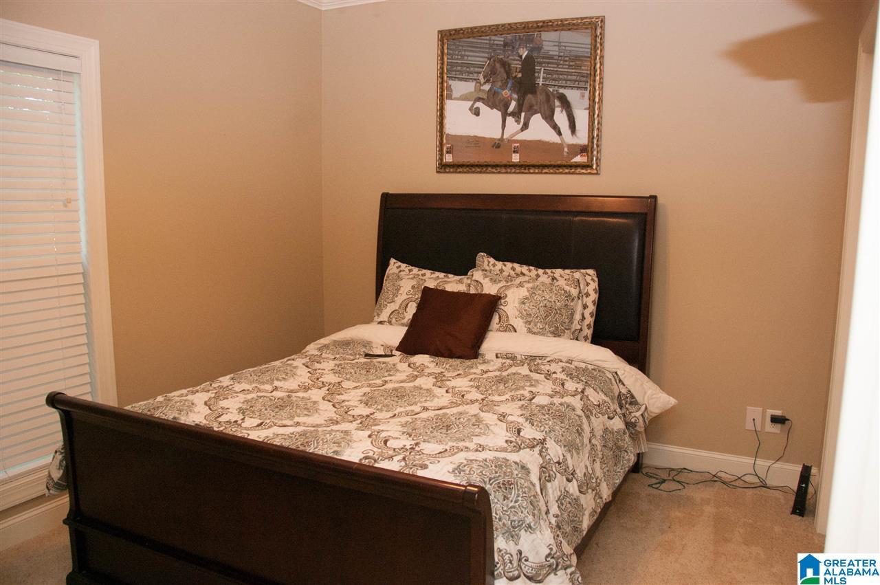 165 Pine View Circle Remlap, AL 35133 - Photo 40 of 48