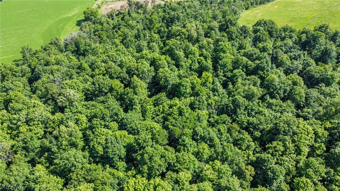 Holshoe Road Homerville, OH 44235 - Photo 11 of 28