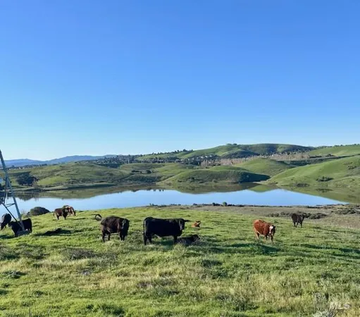 a view of a lake with houses in the back