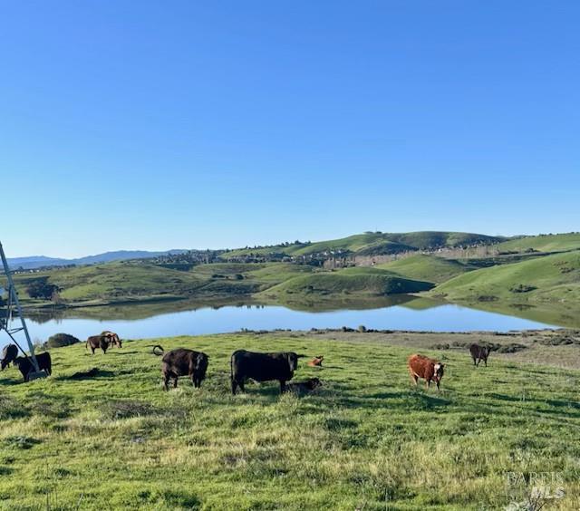 2 Lake Herman Road Benicia, CA 94510 - Photo 11 of 12 a view of a lake with houses in the back