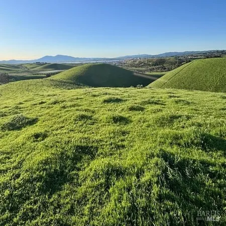a view of a lake from a yard