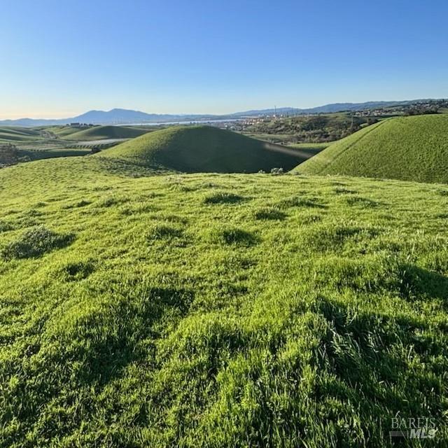 2 Lake Herman Road Benicia, CA 94510 - Photo 8 of 12 a view of a lake from a yard