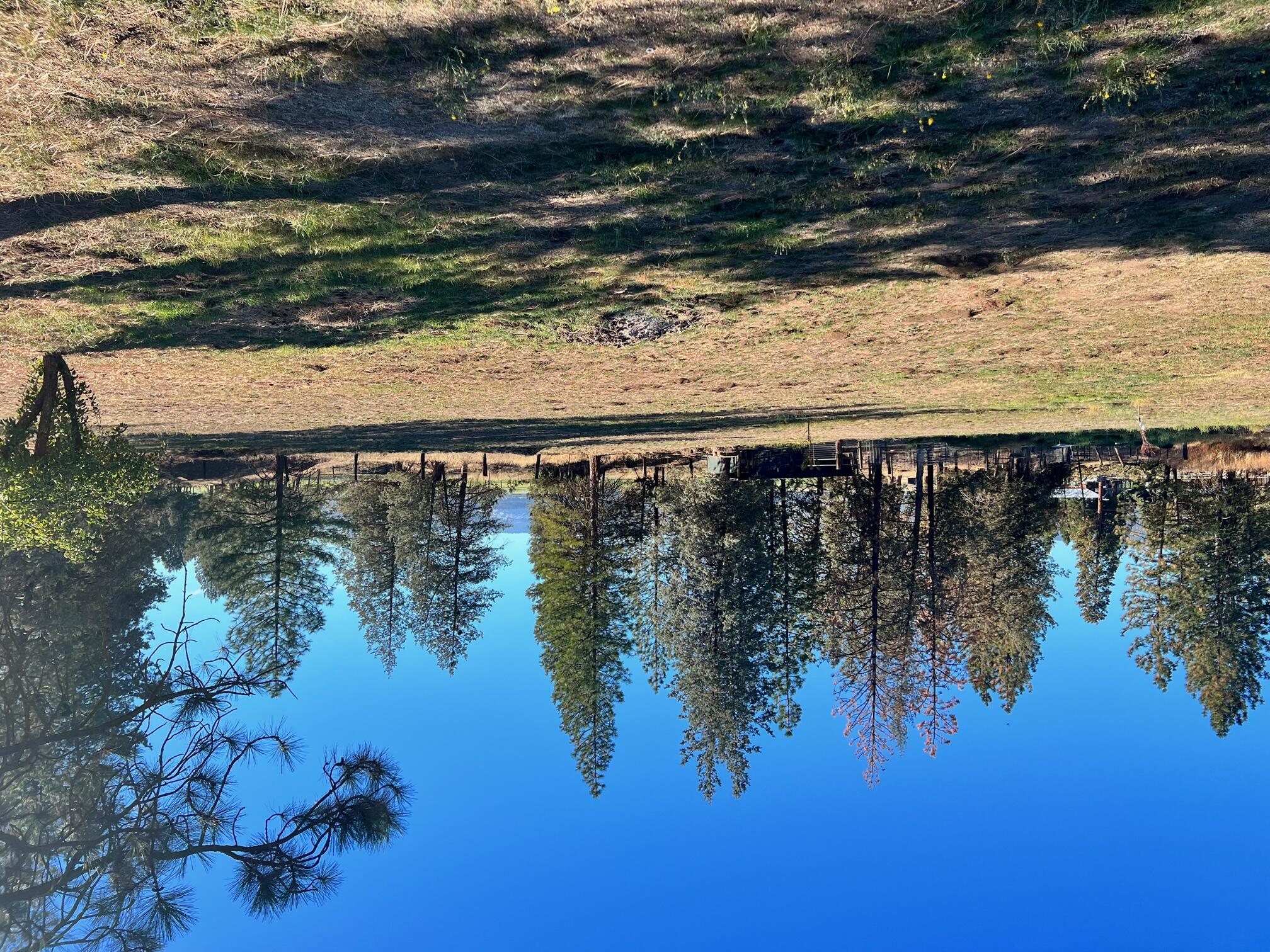 44619 Cornell Road Fall River Mills, CA 96028 - Photo 12 of 17 a view of a lake