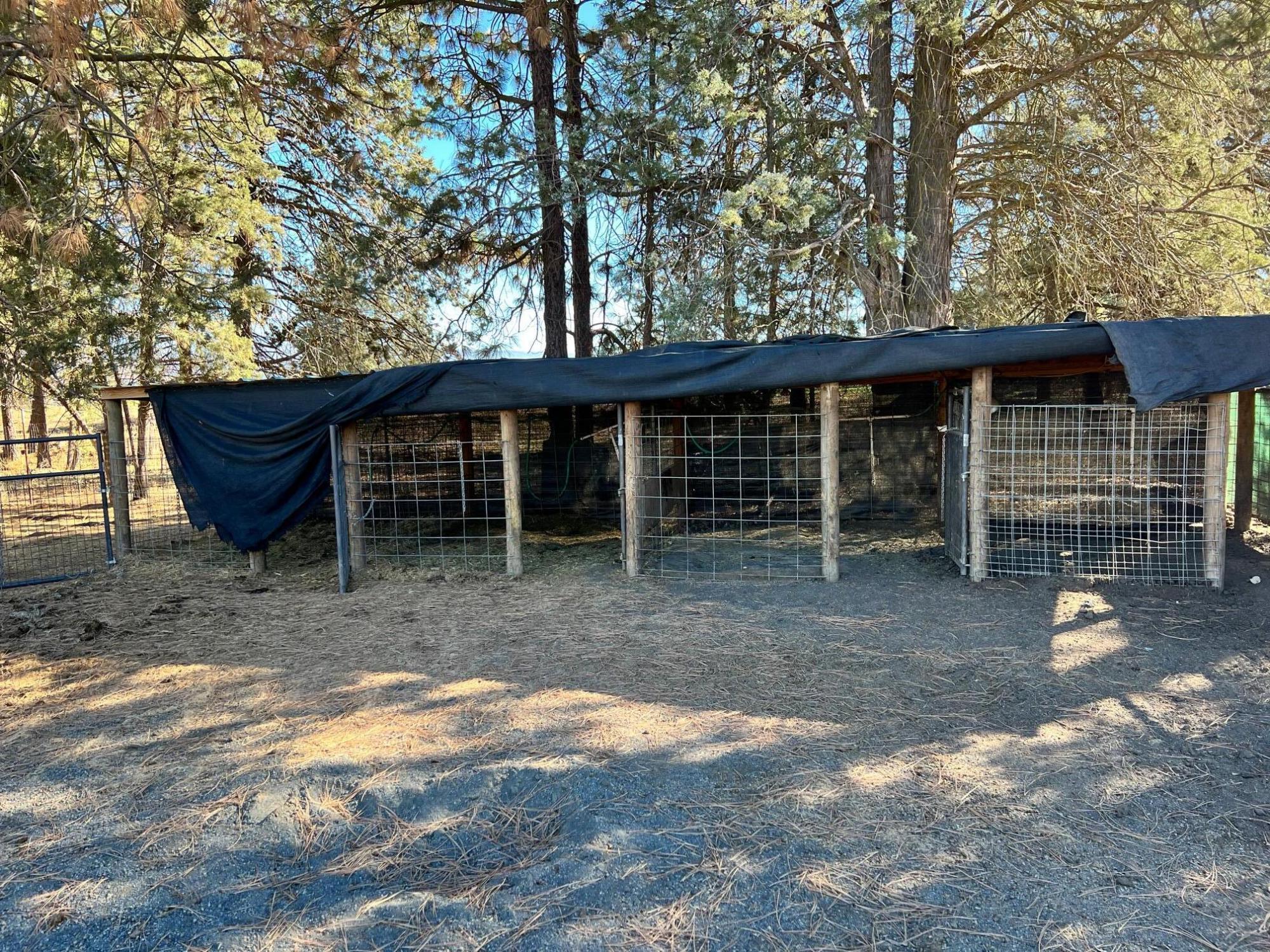 44619 Cornell Road Fall River Mills, CA 96028 - Photo 13 of 17 a view of a house with a yard and sitting area