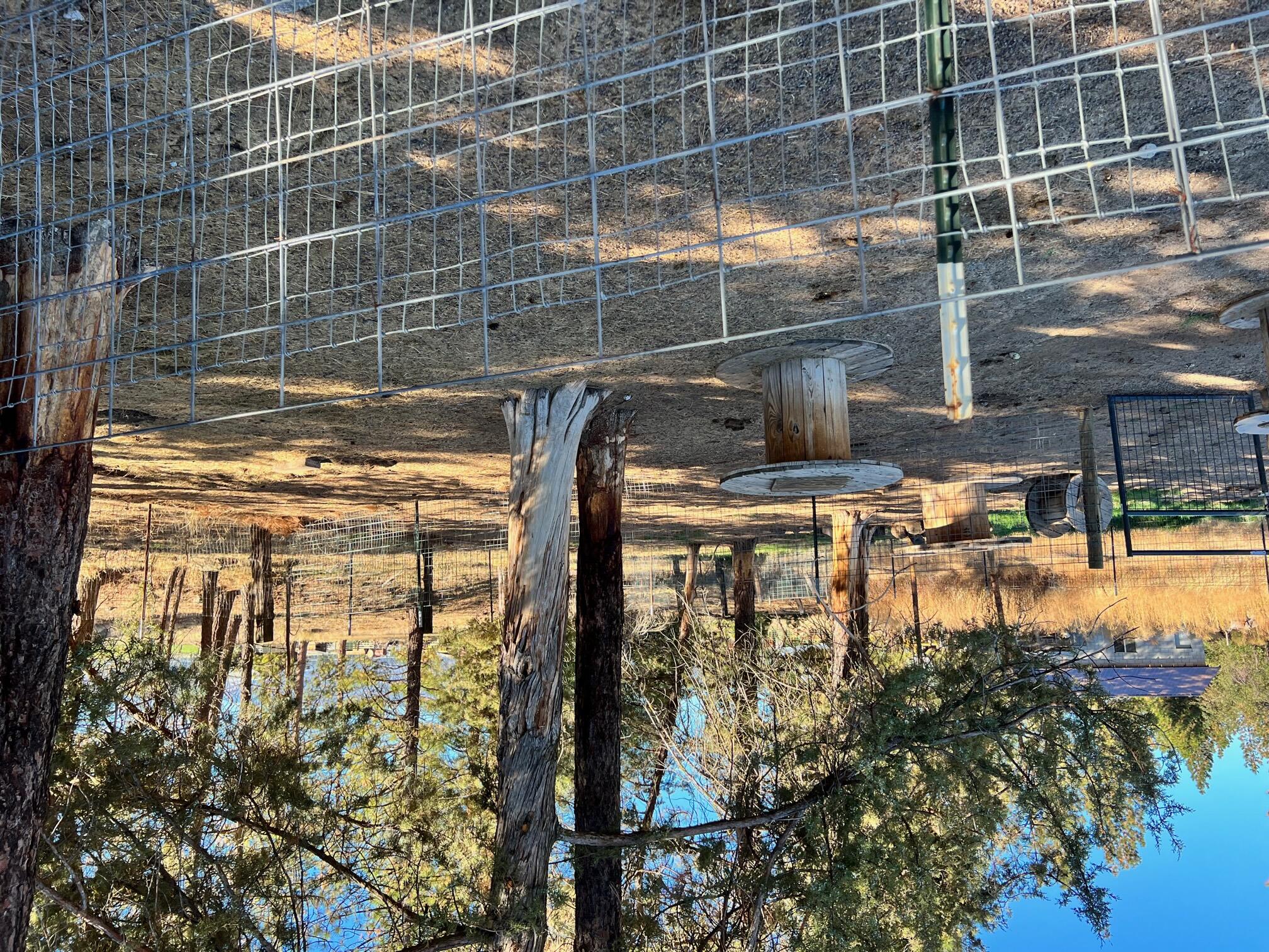44619 Cornell Road Fall River Mills, CA 96028 - Photo 14 of 17 a view of swimming pool