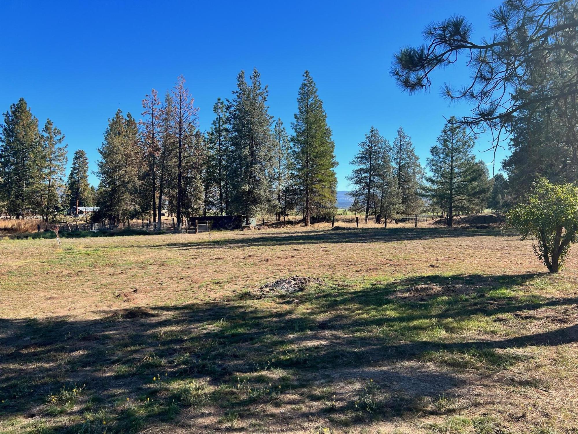 44619 Cornell Road Fall River Mills, CA 96028 - Photo 15 of 17 a view of a yard with an trees