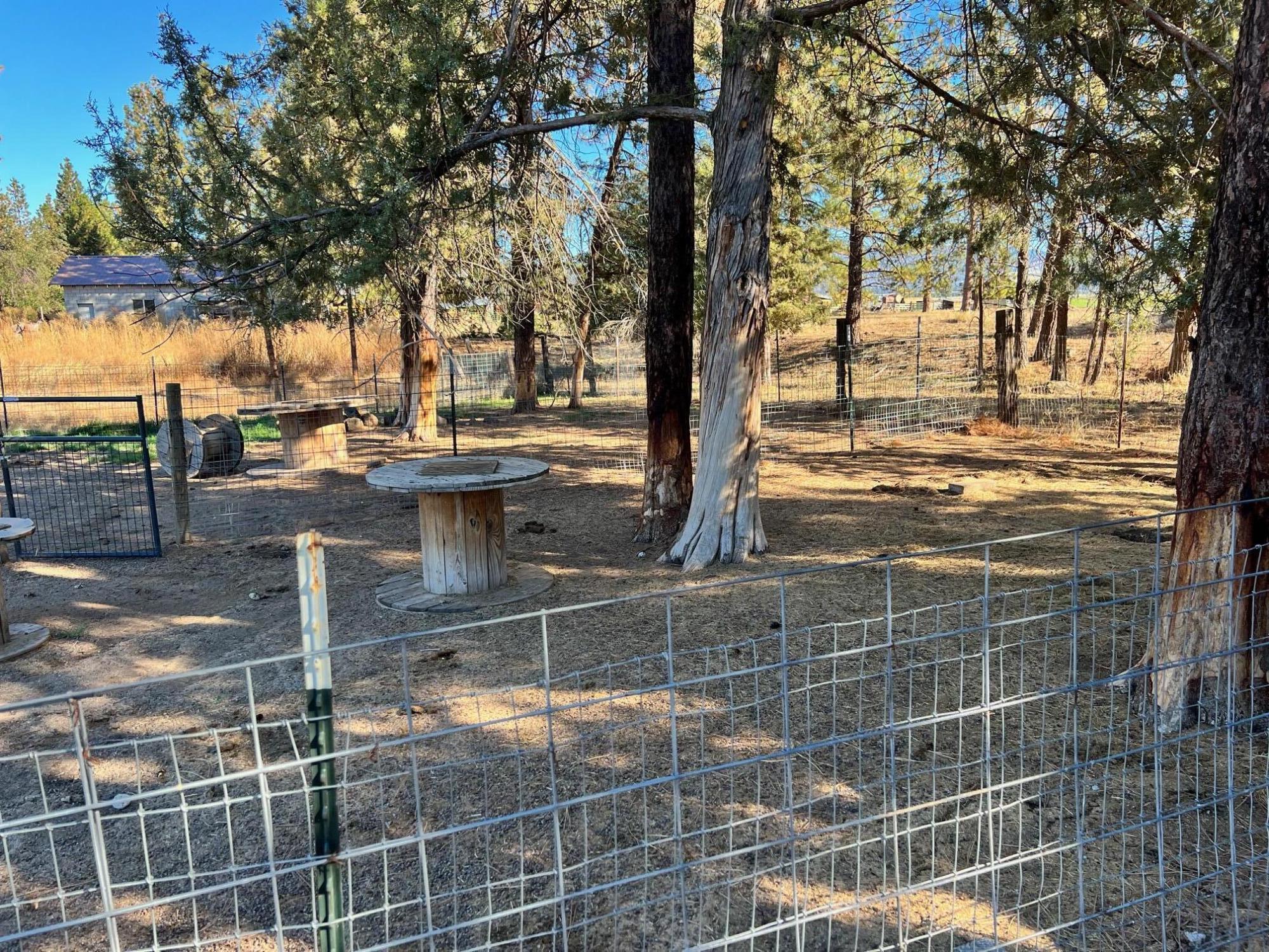 44619 Cornell Road Fall River Mills, CA 96028 - Photo 16 of 17 a view of a yard and wooden fence