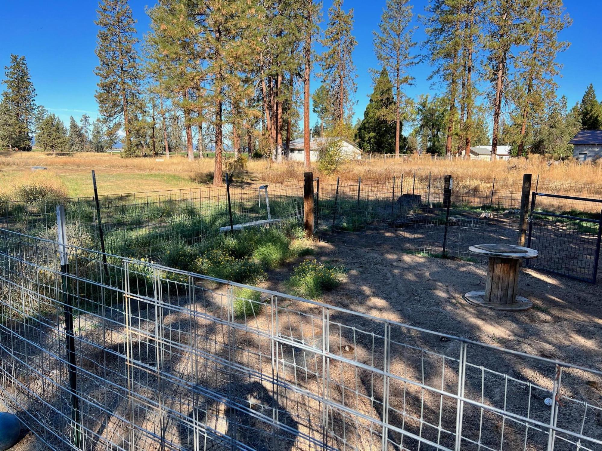 44619 Cornell Road Fall River Mills, CA 96028 - Photo 17 of 17 a view of a yard with plants and trees
