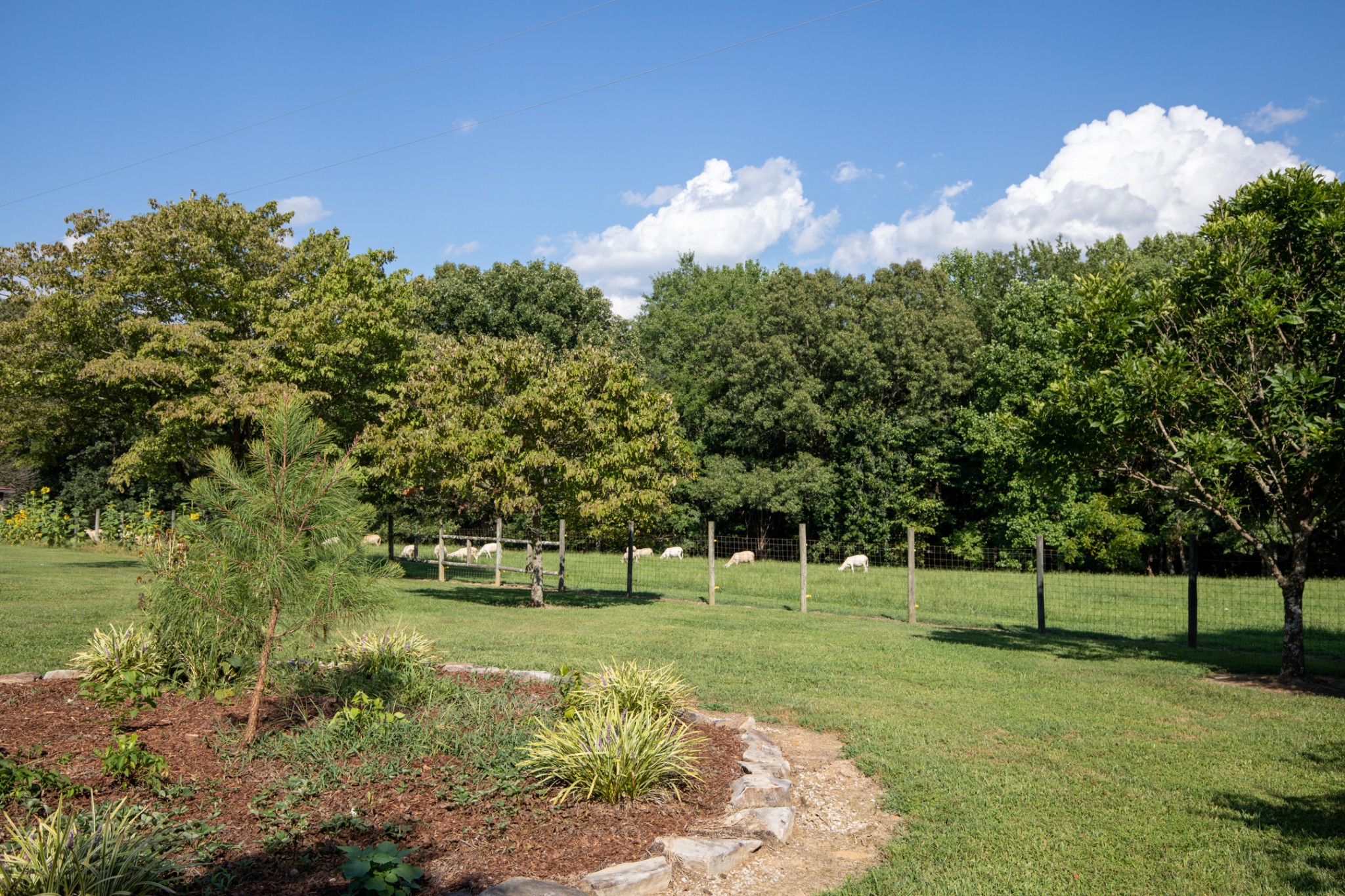 169 Johnson Road Cookeville, TN 38506 - Photo 61 of 70 Gallery Image 61