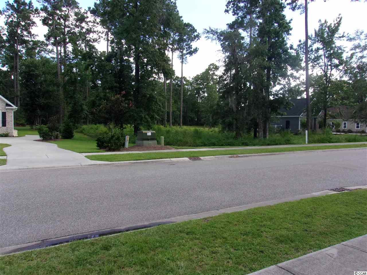 Lot 504 Chamberlin Road Myrtle Beach, SC 29588 - Photo 3 of 9 Gallery Image 3
