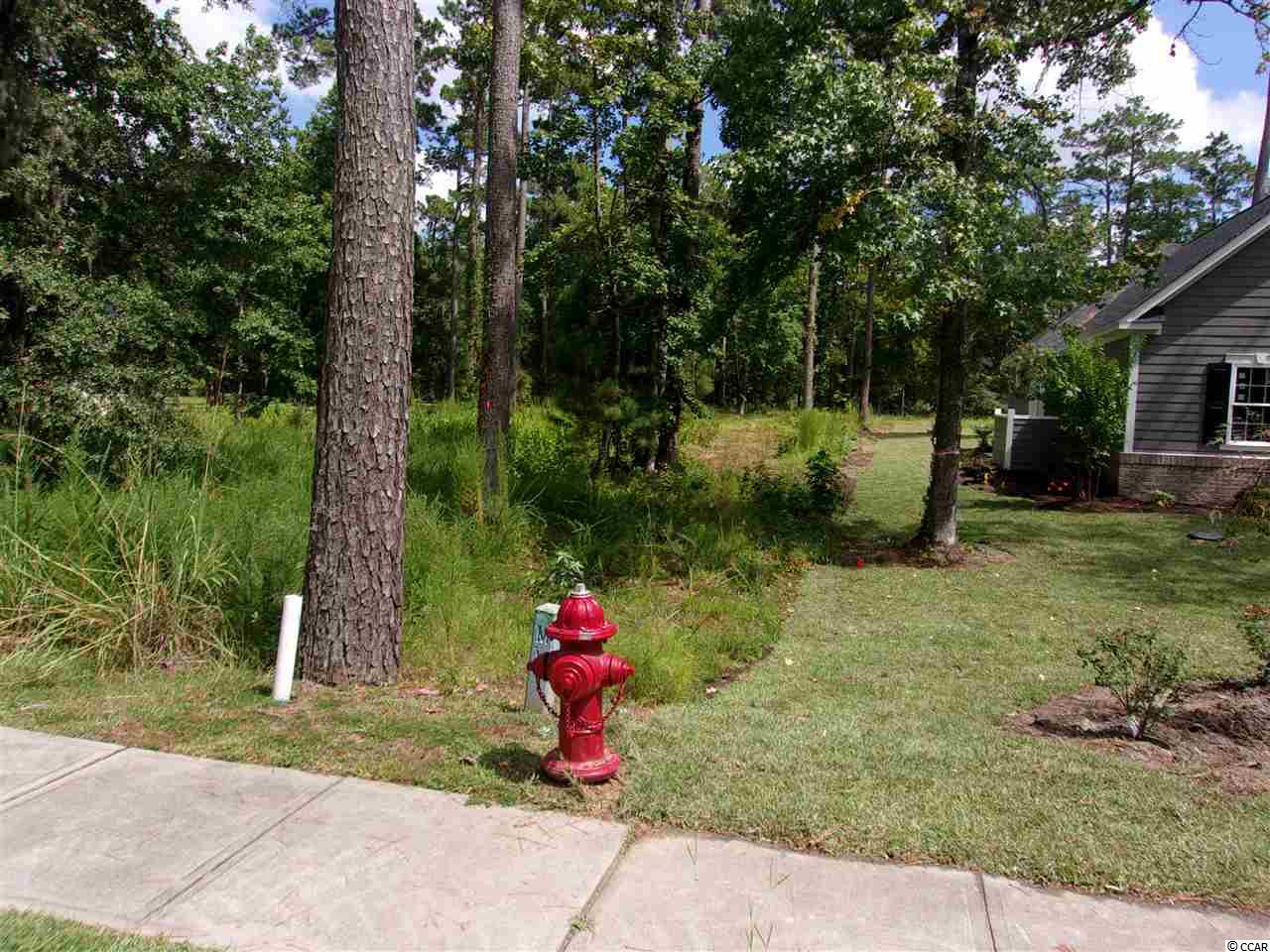 Lot 504 Chamberlin Road Myrtle Beach, SC 29588 - Photo 4 of 9 Gallery Image 4