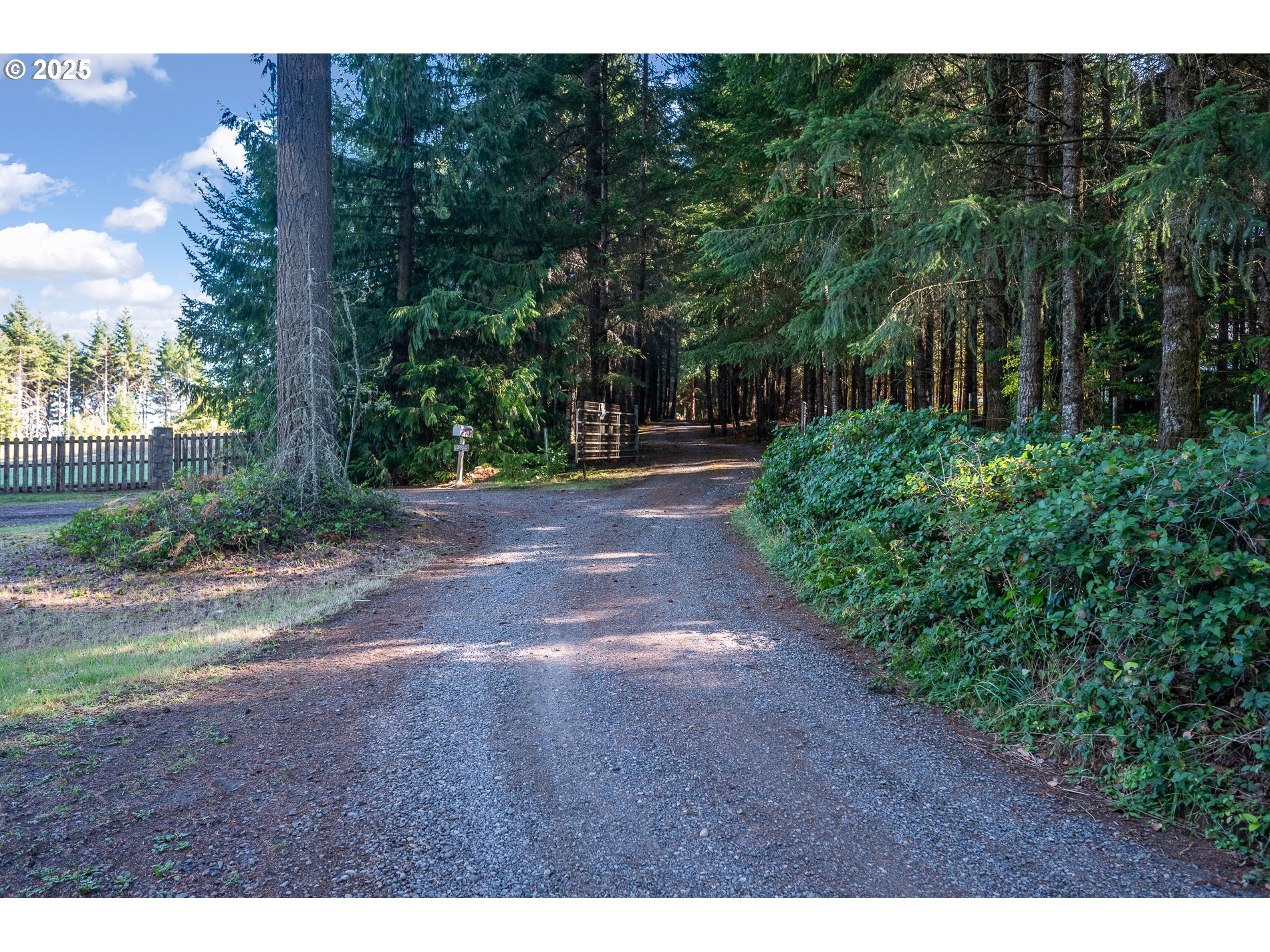 29380 Southeast Old Ranch Drive Estacada, OR 97023 - Photo 4 of 44