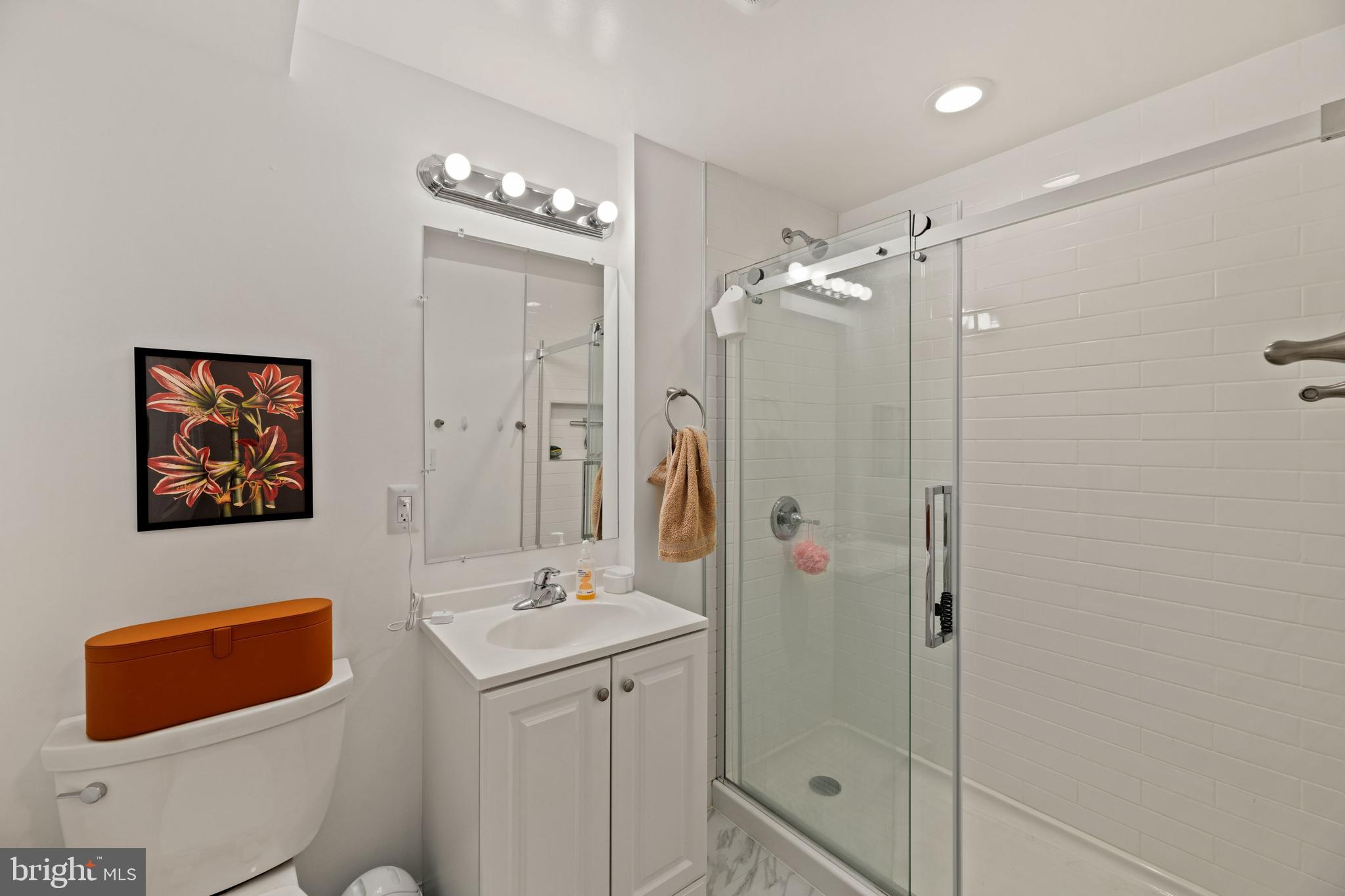 1367 Rittenhouse Street Northwest Washington, DC 20011 - Photo 31 of 41 Lower Level Bathroom