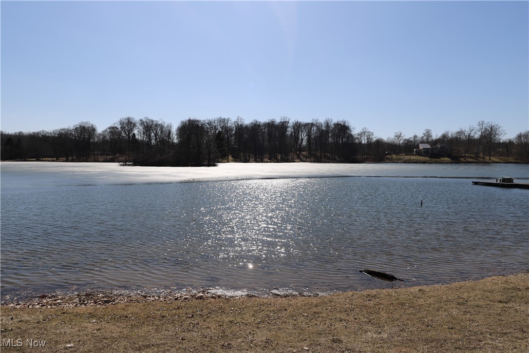 200 Granger Road, Unit 80 Medina, OH 44256 - Photo 18 of 20 Water view