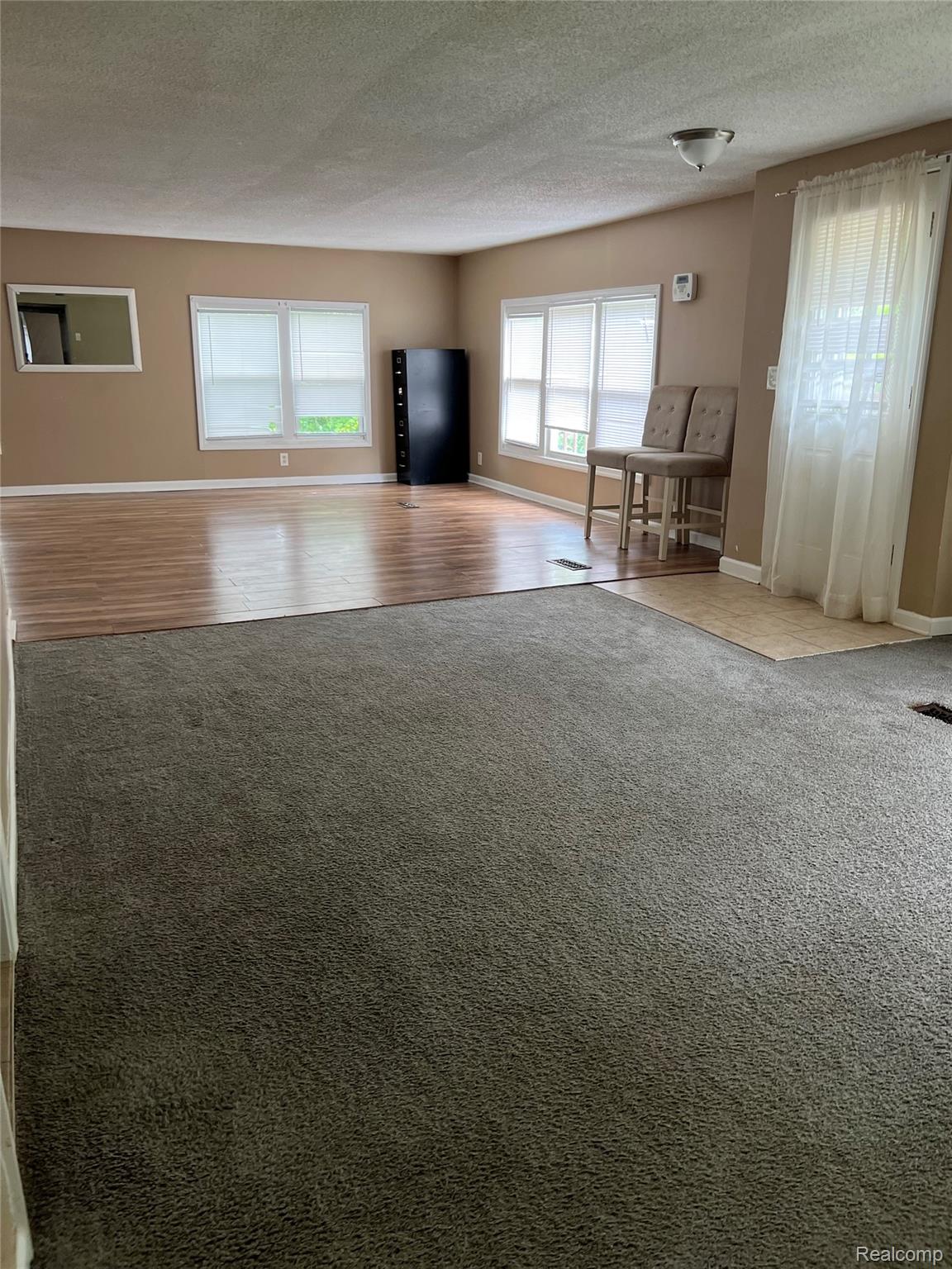 35945 Herman Street Romulus, MI 48174 - Photo 3 of 26 Unfurnished living room with a textured ceiling, carpet, and wood finished floors