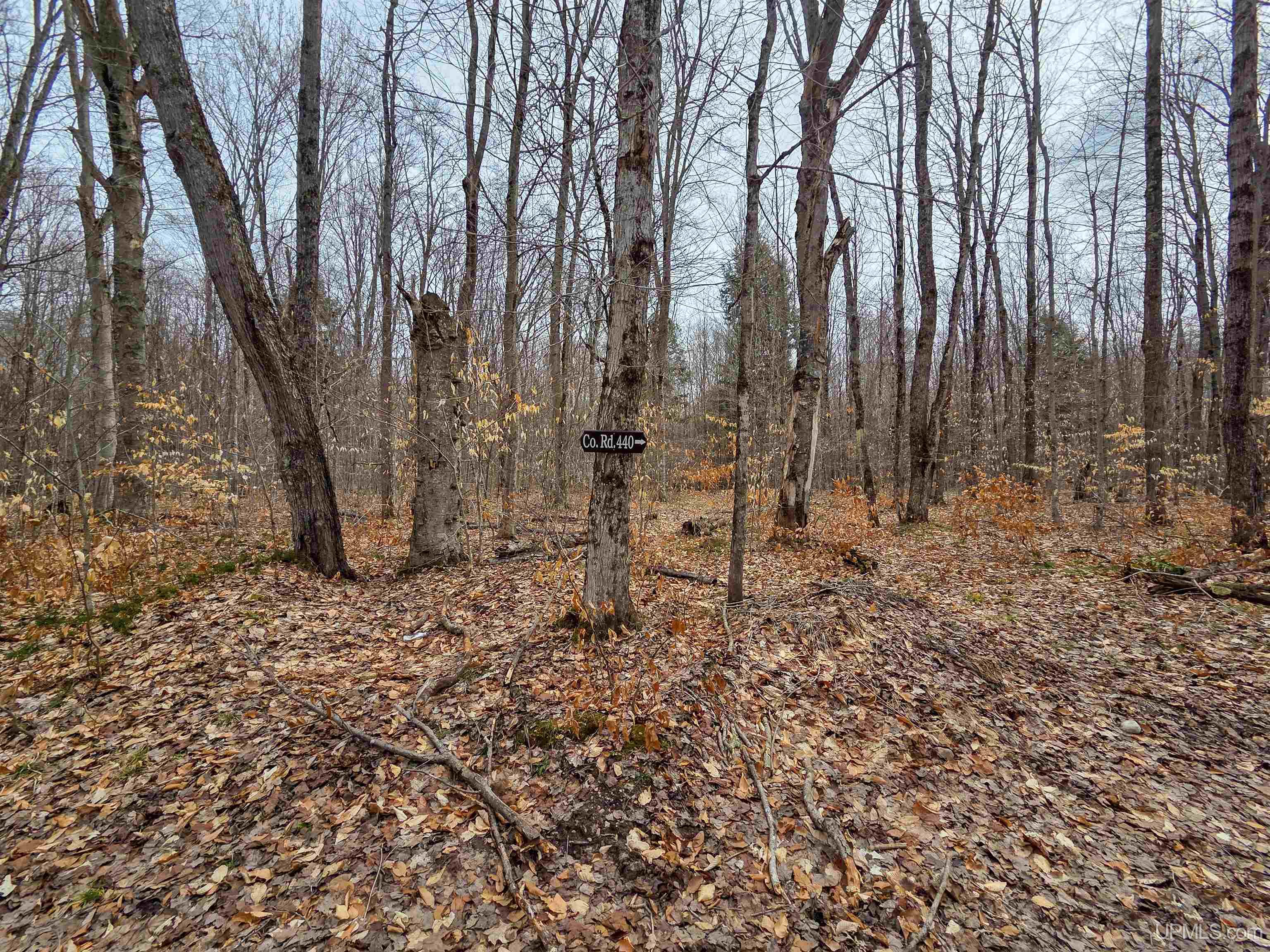 Tbd Stella Lake Road Wetmore, MI 49895 - Photo 14 of 18