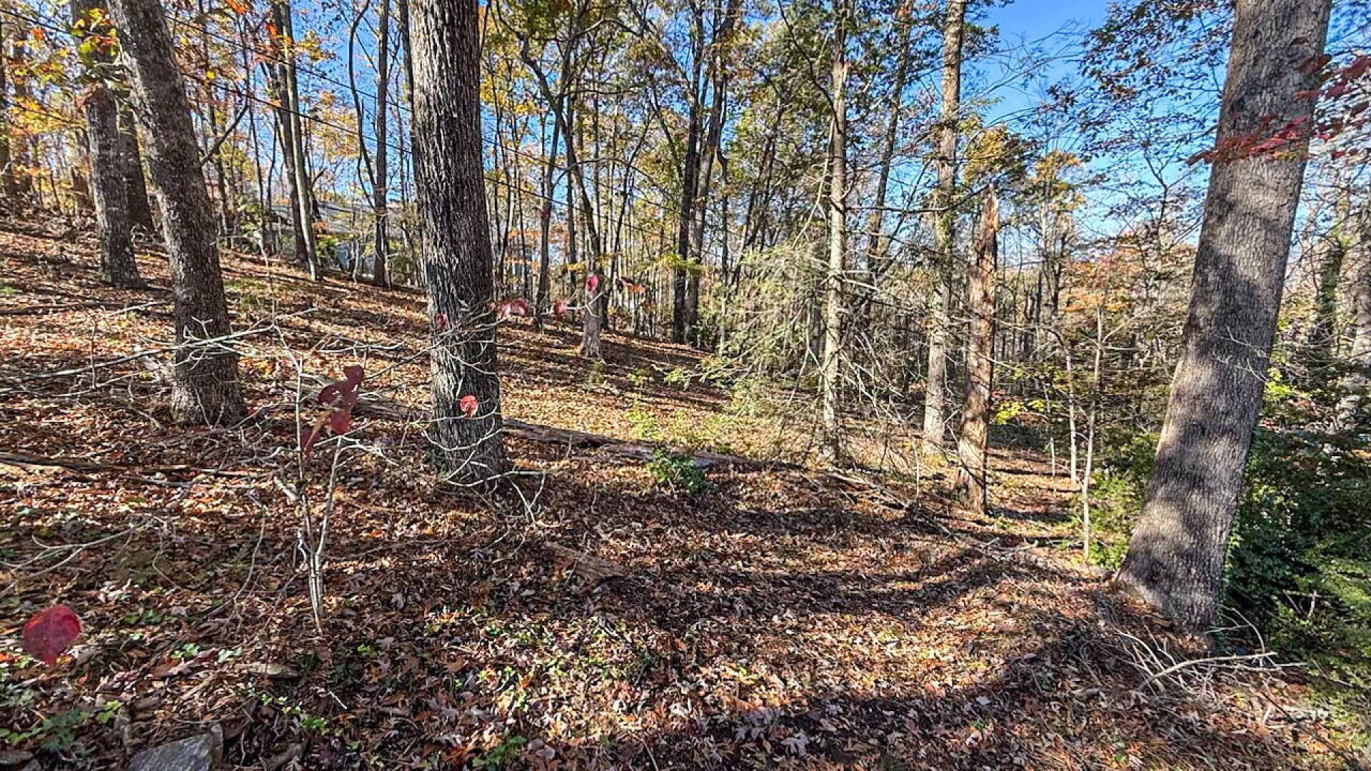 522 Jervey Road Landrum, SC 29356 - Photo 22 of 36