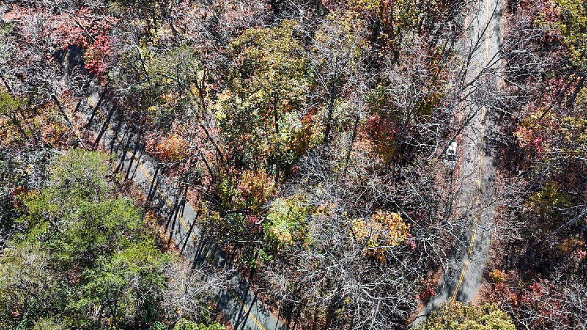 522 Jervey Road Landrum, SC 29356 - Photo 27 of 36