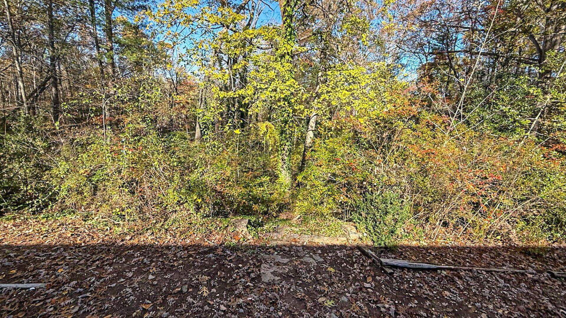 522 Jervey Road Landrum, SC 29356 - Photo 30 of 36
