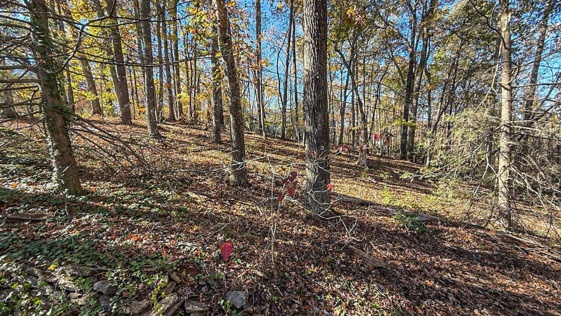 522 Jervey Road Landrum, SC 29356 - Photo 31 of 36