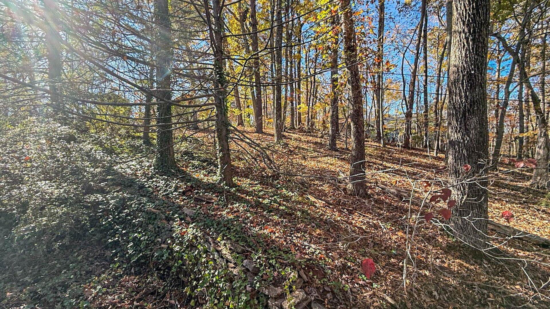 522 Jervey Road Landrum, SC 29356 - Photo 34 of 36