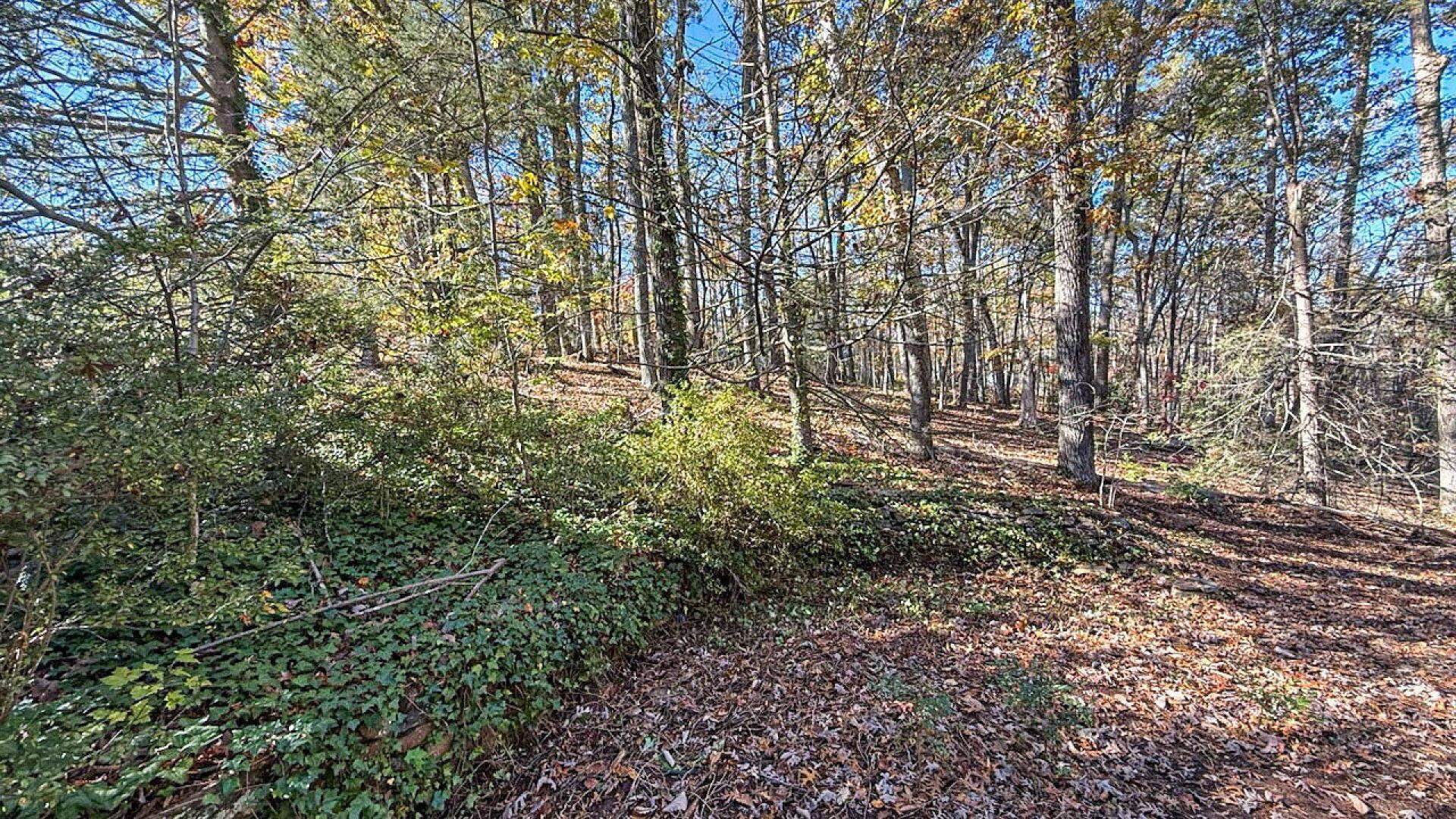 522 Jervey Road Landrum, SC 29356 - Photo 35 of 36