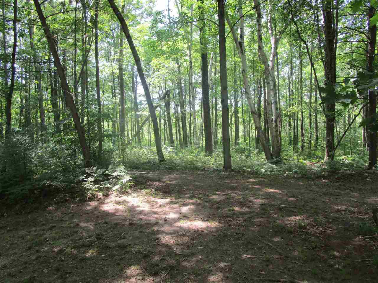 3818 Klender Road Rhodes, MI 48652 - Photo 24 of 42