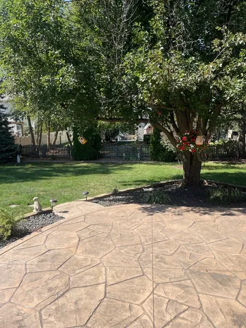 a view of a park with large trees