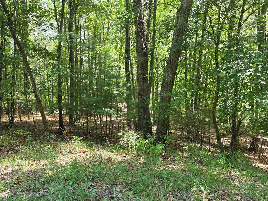 Lot 51 Toms Knob Road, Unit 1 51 Sparta, NC 28675 - Photo 2 of 5