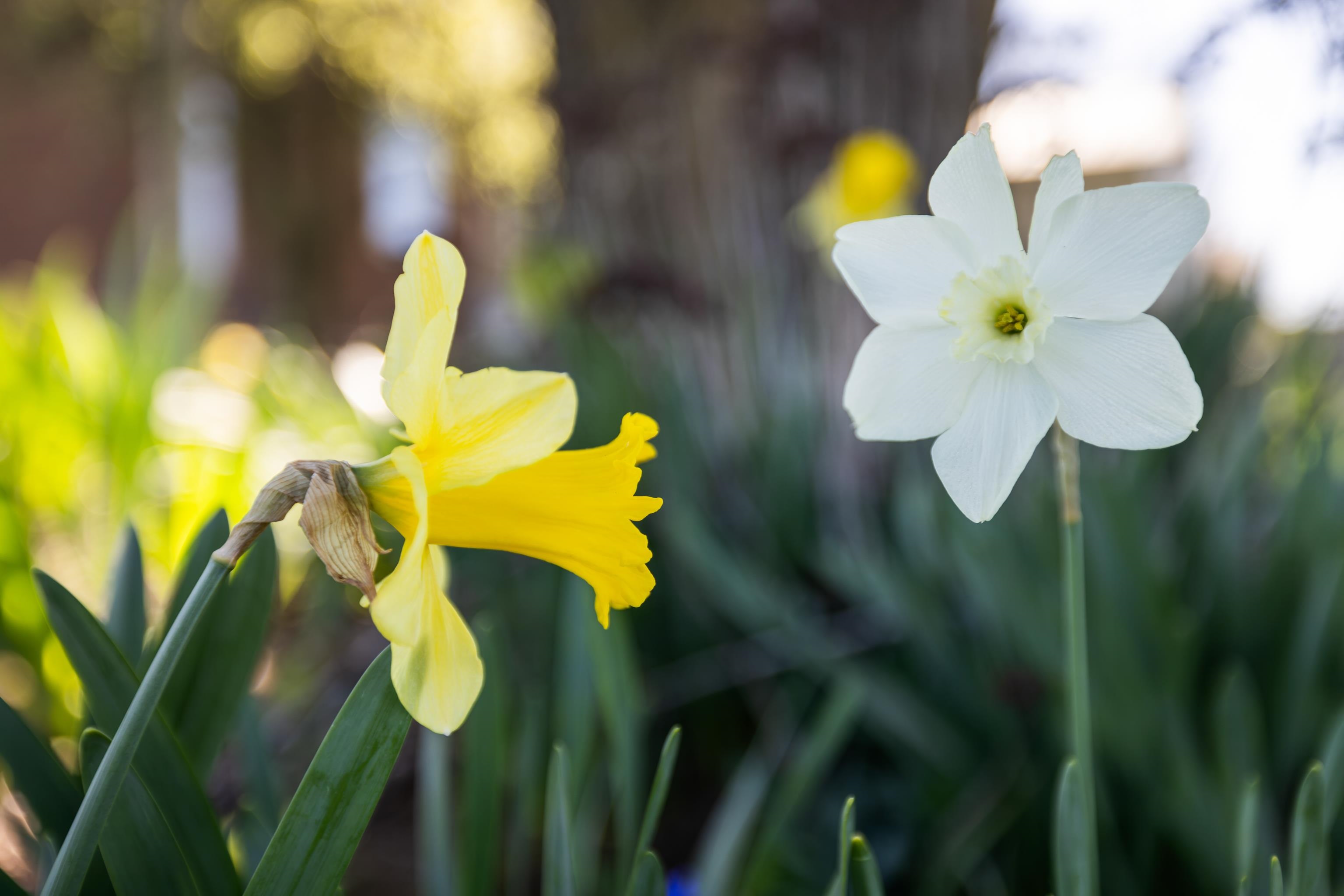 3599 Lumber Mill Road Dayton, VA 22821 - Photo 52 of 68