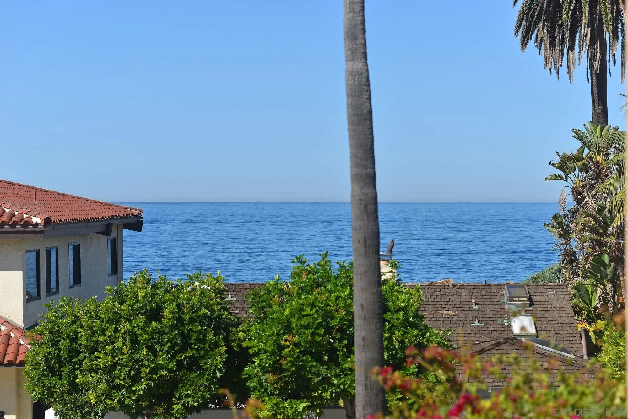 464 Prospect Street, Unit 101 La Jolla, CA 92037 - Photo 21 of 43 a view of a house with a garden