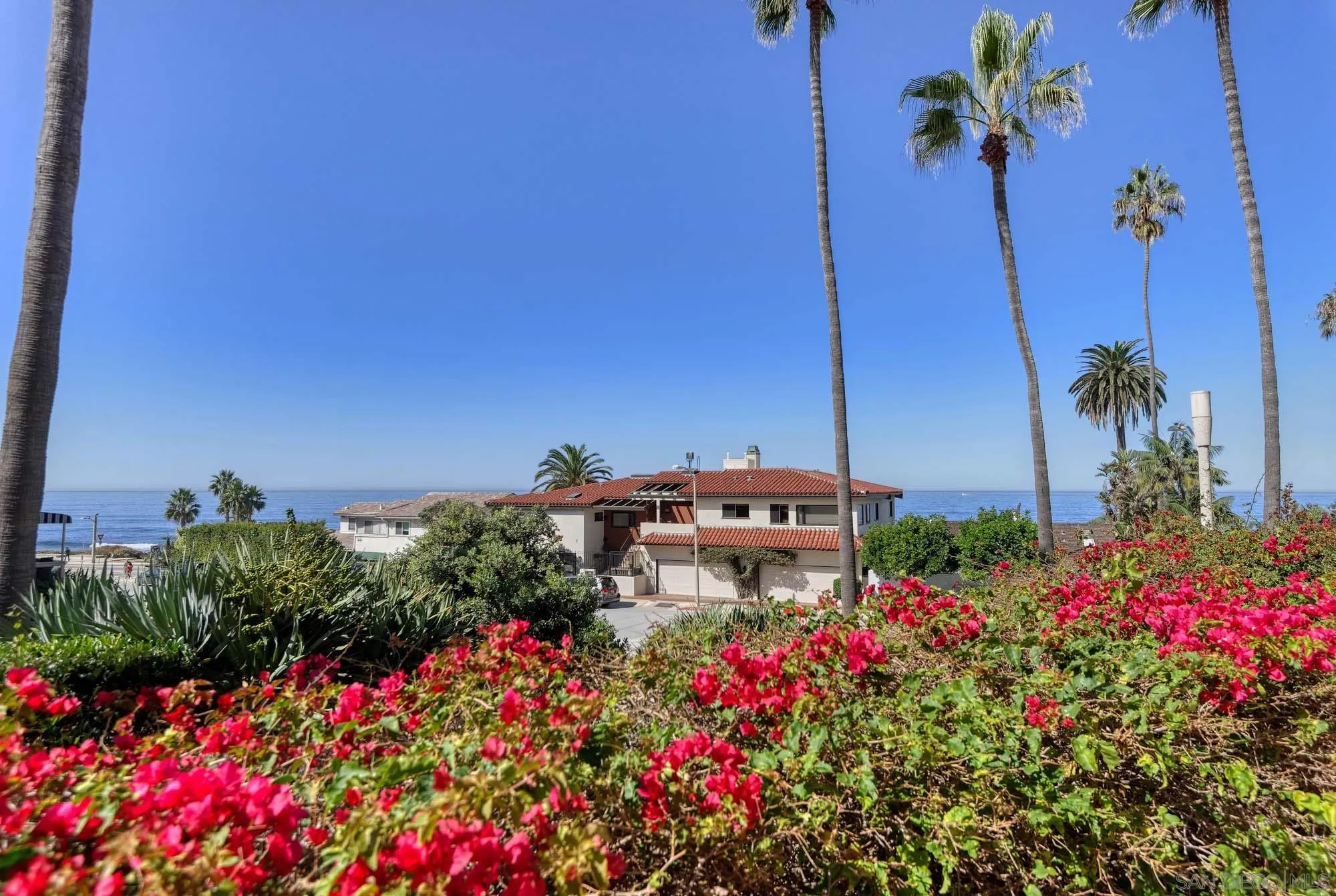 464 Prospect Street, Unit 101 La Jolla, CA 92037 - Photo 22 of 43 a view of a flower in a garden